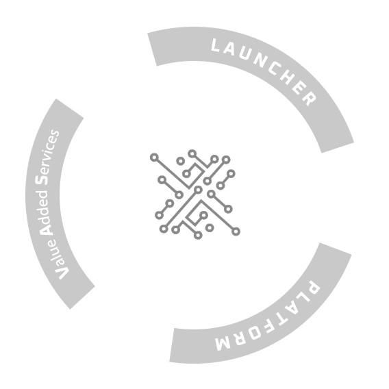 Next LLC services structure